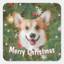 Search for corgi stickers Xmas