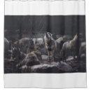 Search for wolf shower curtains Wildlife