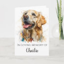 Search for rainbow bridge cards Golden retriever