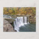 Search for cumberland falls Kentucky