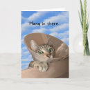 Search for cat get well cards Pets