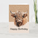 Search for cow cards Girl