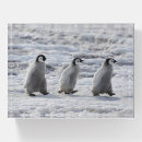 Search for penguin desk accessories Bird