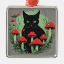 Search for black cat ornaments Nature