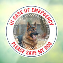 Search for dog window decals Alert