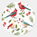 Search for red cardinal stickers Holiday season