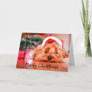 Search for yorkie christmas cards Cute