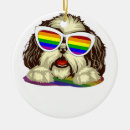 Search for diversity ornaments Gay pride