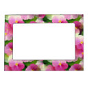 Search for green and pink picture frames Flower