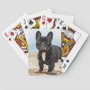 Search for bulldog playing cards Pets