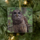 Search for owl ornaments Wildlife