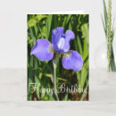 Search for iris birthday cards Garden