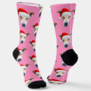 Search for womens socks dog