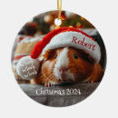 Search for guinea pig ornaments Santa