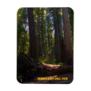 Search for redwood national park magnets Redwoods