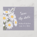 Search for daisy save the dates Daisies