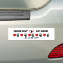 Search for pet magnets Fun