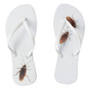 Search for cockroach Scary