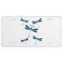 Search for dragonfly license plates Dragonflies