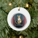 Search for abyssinian cat Pets