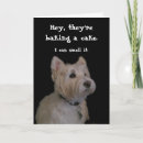 Search for westie birthday cards Westy