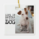 Search for dog ornaments Pet