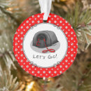 Search for dog walker ornaments Cute