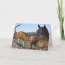 Search for cat cards Friends