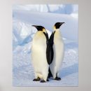 Search for outdoor posters Wildlife