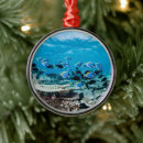 Search for scuba diving ornaments Fish