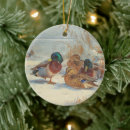 Search for lovebird ornaments Animals