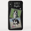 Search for border collie iphone cases Create your own
