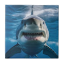 Search for shark tiles Great white shark