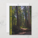 Search for redwood national park postcards Forest