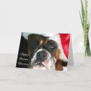 Search for boxer dog christmas cards Pets