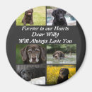 Search for pet memorial magnets Photo collage