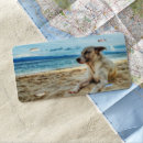 Search for beach license plates Sun