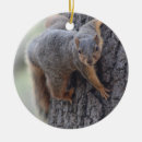 Search for funny squirrel ornaments Animal