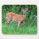 Search for deer gifts New arrivals
