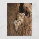 Search for sticker postcards Nature