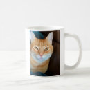 Search for orange tabby cat mugs Pet