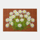 Search for swiss gifts Edelweiss