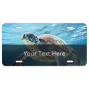 Search for turtle license plates Wildlife