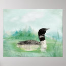 Search for common loon gifts Bird