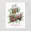 Search for holiday postcards Merry