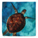 Search for sea turtle bandanas Ocean