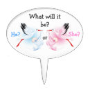 Search for gender reveal cake toppers Pink and blue