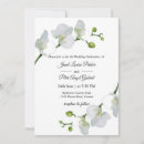 Search for orchid wedding invitations Chic
