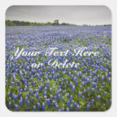 Search for bluebonnet stickers Texan