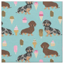 Search for cream dachshund Pet